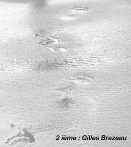 02 Minimalisme Gilles Brazeau 
